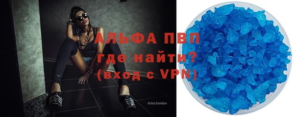 стафф Вяземский