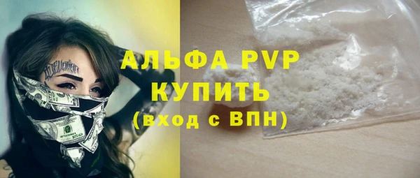 стафф Вяземский