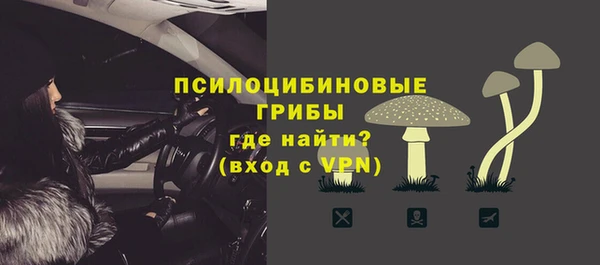 стафф Вяземский