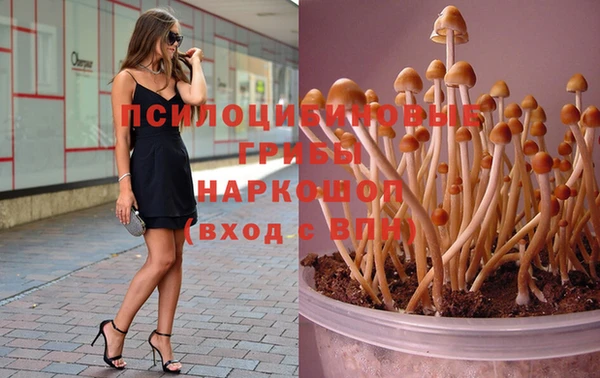 стафф Вяземский