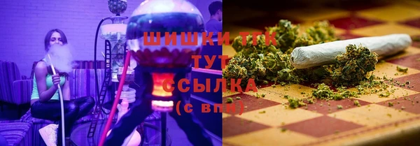 стафф Вяземский