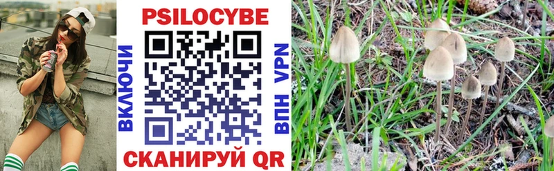 Галлюциногенные грибы GOLDEN TEACHER  цена наркотик  это официальный сайт  Гусиноозёрск 